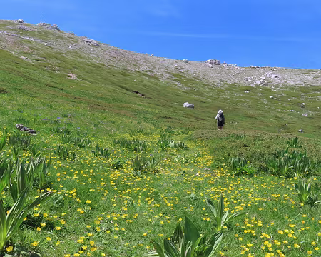 20250604121643 Montée vers la crête