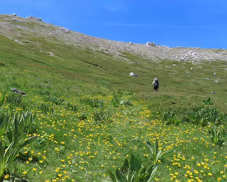 20250604121643 Montée vers la crête