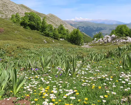 20250604121913 C'est comme le printemps ici.