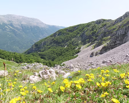 20250605113607 Vers le haut du parcours 