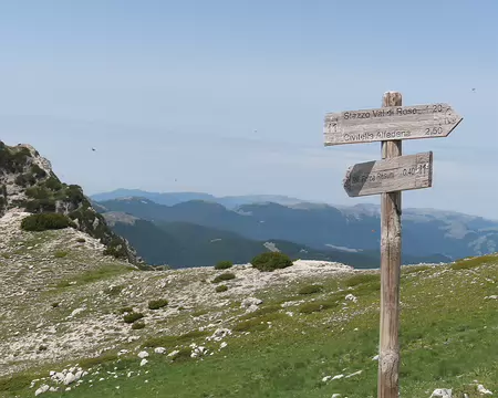 20250605115704 au col (passo Cavuto)