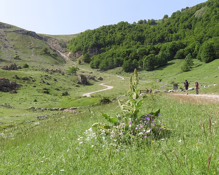 20250606095204 Aujourd'hui boucle à proximité du Monte Godi, approche en voiture sur chemin pierreux. Le monte Godi est interdit aux randonneurs.