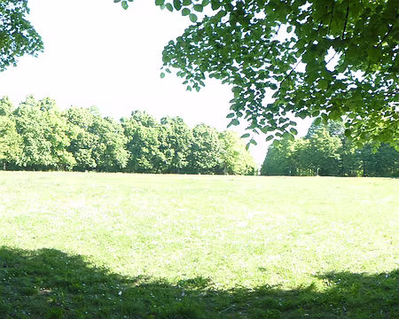 P1210119 Forêt domaniale de la Grange, Limeil-Brévannes