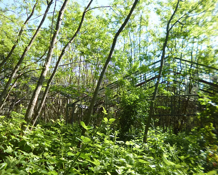 P1210120 Anciennes serres horticoles, Villecresnes