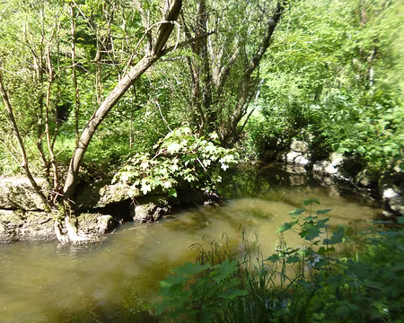 P1210121 Le Réveillon