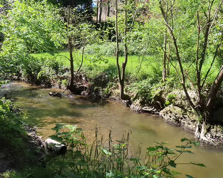 IMG_6644 Le ruisseau le Réveillon