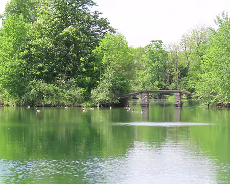 IMG_6666 Le pont de l'étang Brème, un des étanges du Port aux Cerises