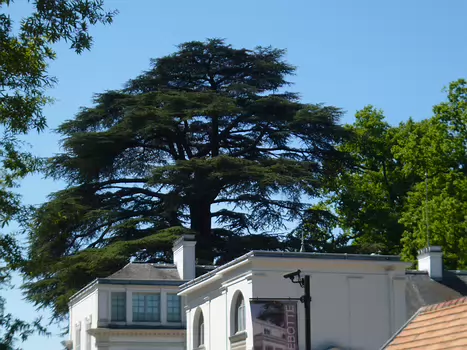 2025-05 Boissy-Saint-Léger