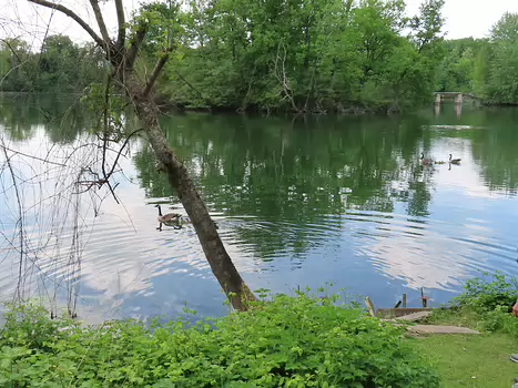 Jean-Louis Jean-Louis M, détail sortie