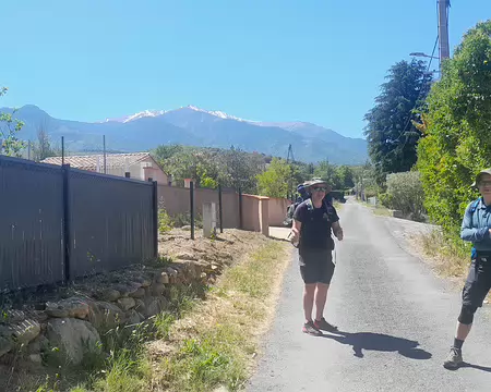20250529_115054 Au départ de Prades, le Canigou semble tout près ...
