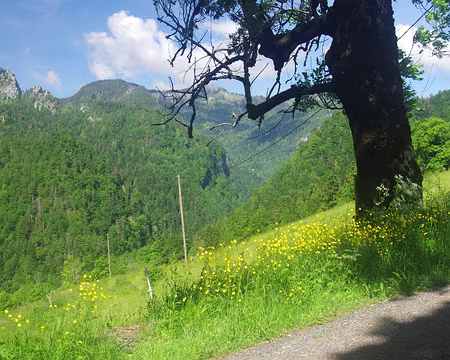 Début de randonnée près de l’arrêt « la Correrie » Début de randonnée près de l’arrêt « la Correrie »