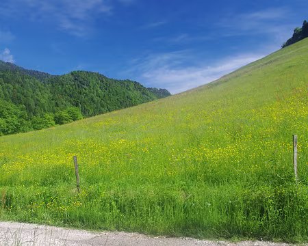 Près de la Correrie Près de la Correrie