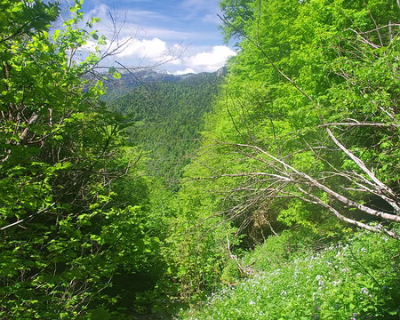 Massif de la Grande Chartreuse Massif de la Grande Chartreuse