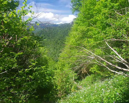 Massif de la Grande Chartreuse Massif de la Grande Chartreuse