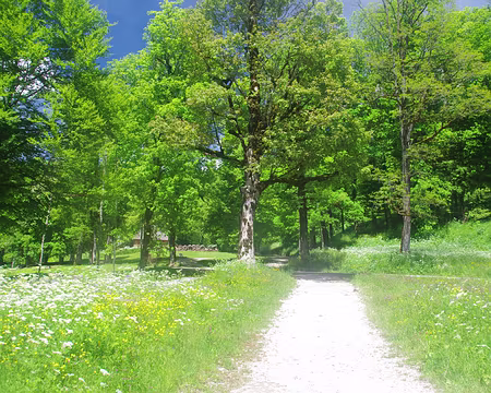 Près du monastère de la Grande Chartreuse Près du monastère de la Grande Chartreuse