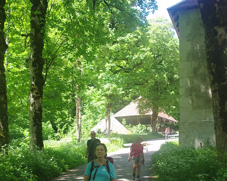 Près du monastère de la Grande Chartreuse Près du monastère de la Grande Chartreuse