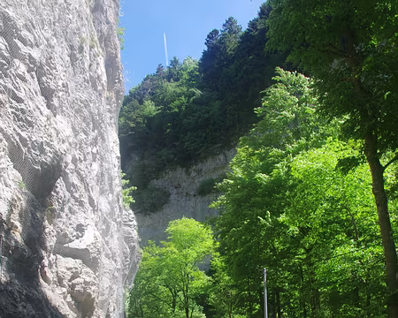 La Porte de l’Enclos La Porte de l'Enclos