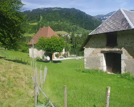 Vallée du Couzon, en direction de notre gîte Vallée du Couzon, en direction de notre gîte