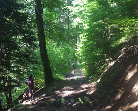 Montée vers le Charmant Som (on prononce charmanson) Montée vers le Charmant Som (on prononce charmanson)