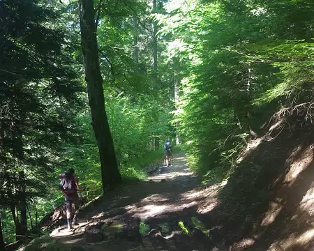 Montée vers le Charmant Som (on prononce charmanson) Montée vers le Charmant Som (on prononce charmanson)