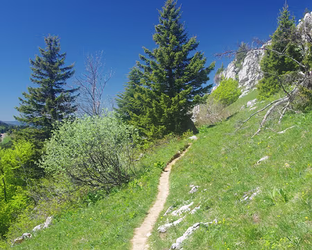 Montée au Charmant Som Montée au Charmant Som