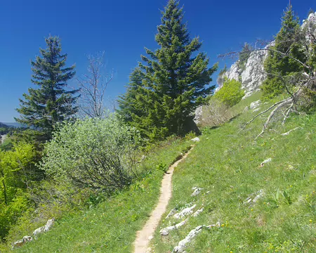 Montée au Charmant Som Montée au Charmant Som