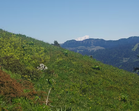 On commence à voir le mont Blanc ! On commence à voir le mont Blanc !