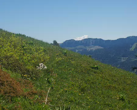 On commence à voir le mont Blanc ! On commence à voir le mont Blanc !