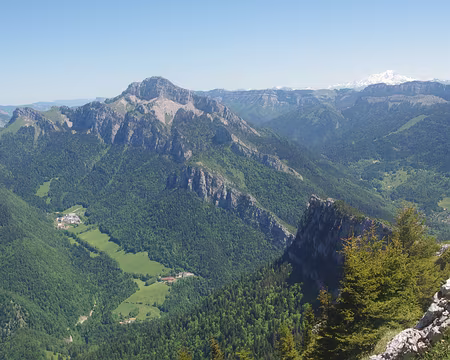 Charmant Som 1867 m La Grande Chartreuse en contrebas et le mont Blanc à droite