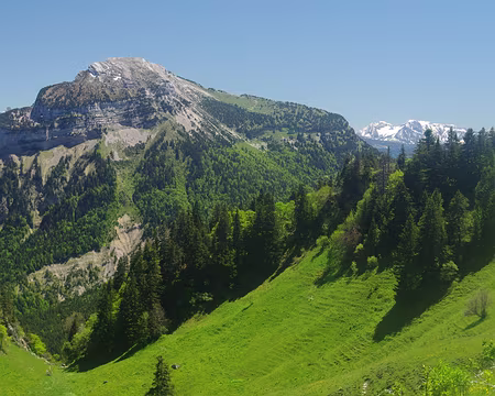 Chamechaude (au programme de demain) Chamechaude (au programme de demain)