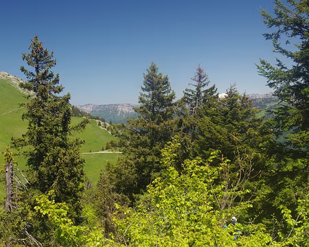 Progression sur le GR9 (et dernier coup d’œil sur le mont Blanc) Progression sur le GR9 (et dernier coup d'œil sur le mont Blanc)