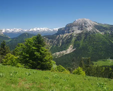 Toujours Chamechaude Toujours Chamechaude