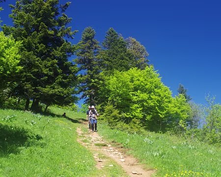 En direction de la Pinéa En direction de la Pinéa