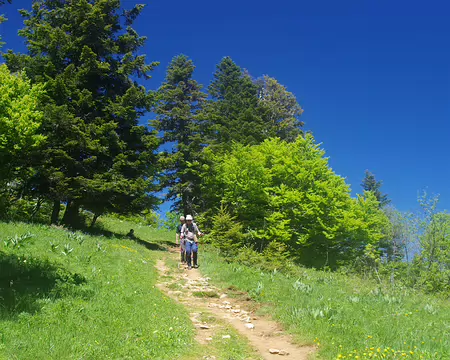 En direction de la Pinéa En direction de la Pinéa