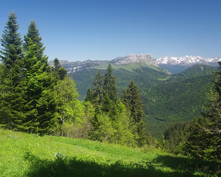 Le massif de Belledonne au fond Le massif de Belledonne au fond