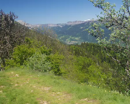 C’est peut-être bien encore le mont Blanc C'est peut-être bien encore le mont Blanc