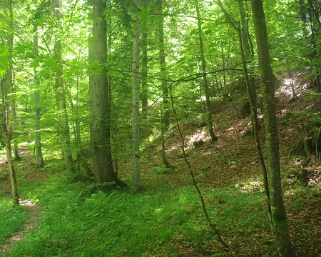 Le tour du Grand Ravin Le tour du Grand Ravin