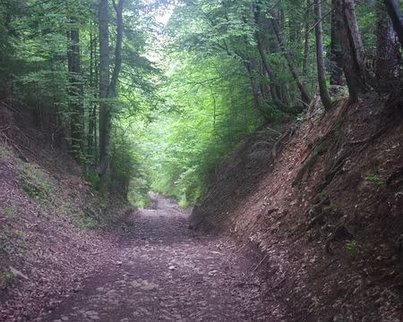 Ultime journée, descente vers le Sappey-en-Chartreuse Ultime journée, descente vers le Sappey-en-Chartreuse