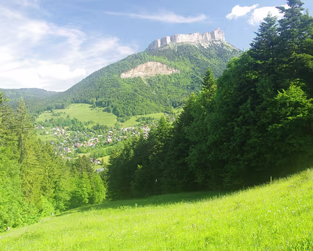 Montée vers le mont Saint-Eymard, vue vers Chamechaude Montée vers le mont Saint-Eymard, vue vers Chamechaude