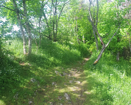 Suivant la crête du Saint-Eymard Suivant la crête du Saint-Eymard