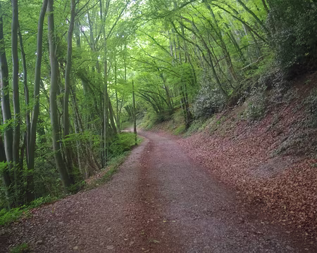 Remontée après le col de Vence Heureusement qu’il ne prend pas un « a »... d’aucuns en auraient fait une jaunisse !