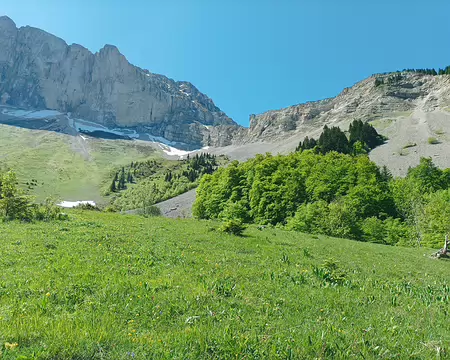 010 Pâturage de Mougious sous les Aiguilles