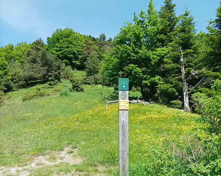037 Col de Lus