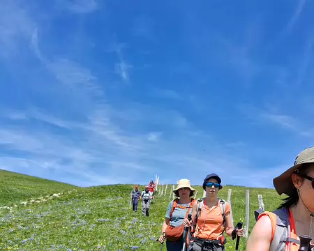 20250531_120231