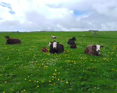 IMG_20250502_110651032 Exif_JPEG_420