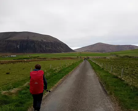 IMG_20250507_075527344_MFNR