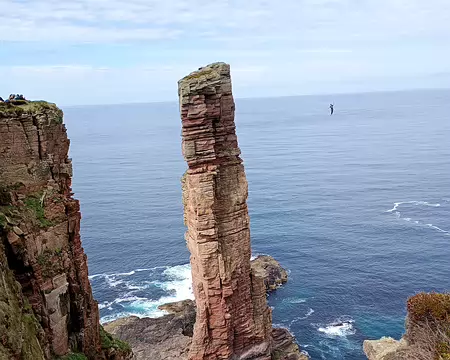 IMG_20250507_114710425_MFNR