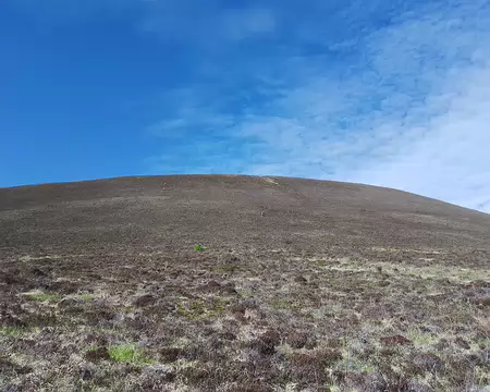 IMG_20250507_163247848 Exif_JPEG_420