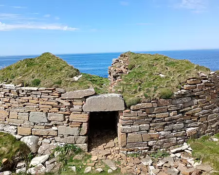 IMG_20250508_133745410_MFNR