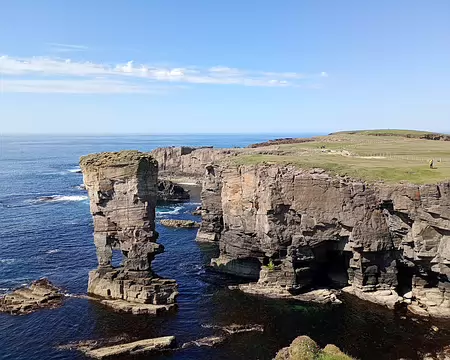 IMG_20250508_142842409_MFNR